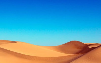 Adviento 2 – A | San Juan Bautista  y la Inmaculada Concepción