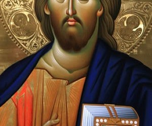 Domingo 14 – A | El yugo de Jesús