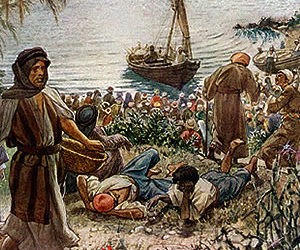 Domingo 15 – A | El sembrador y la tierra buena