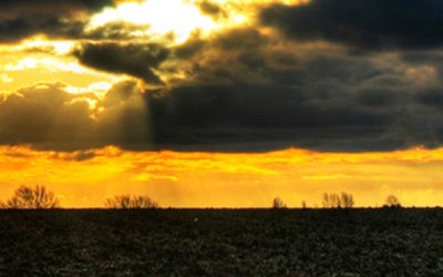 Domingo 6 – A | No seas como los demás