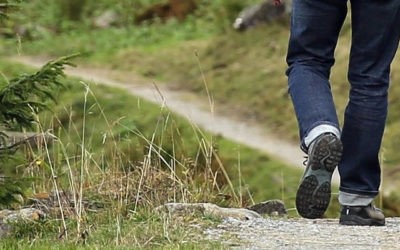 Pascua 5 – A | Jesús camino, verdad y vida