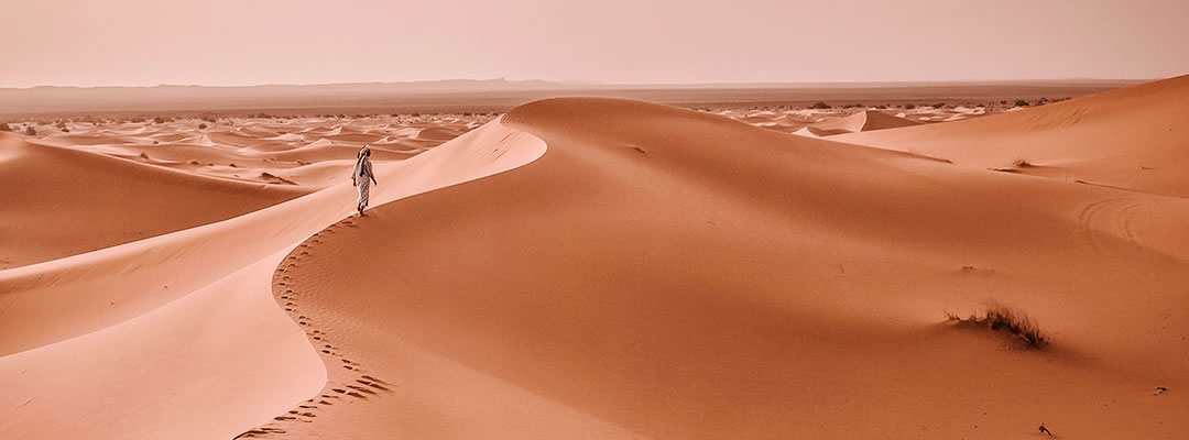 Adviento 3 – B | Anunciar al Señor | IQC 2021