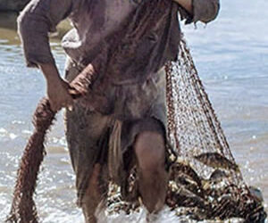 Domingo 5 – C | Pescador de hombres