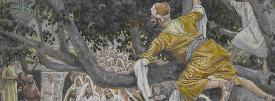 Domingo 31 – C | Zaqueo se convierte