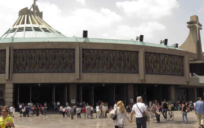 Domingo 33 – C | Destruir y construir