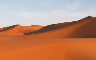 Adviento 2 – A | Profetas de la esperanza