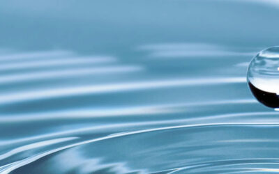 Bautismo del Señor – A | Bautizo de Jesús