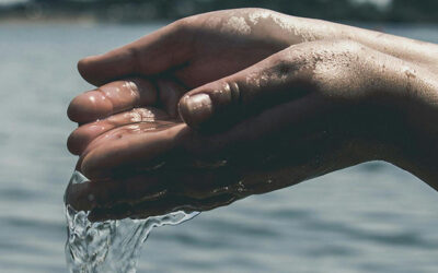 Domingo 2 – A | Quitar el pecado