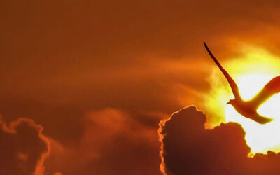 Domingo 4 – A | Bienaventurados y felices