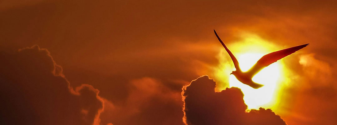 Domingo 4 – A | Bienaventurados y felices