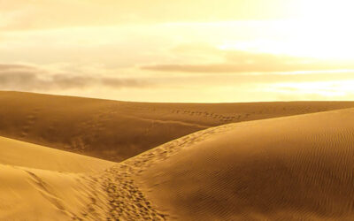 Cuaresma 1 – A | Tentaciones de Jesús