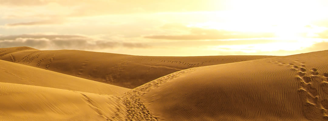 Cuaresma 1 – A | Tentaciones de Jesús