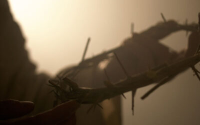 Domingo de Ramos | Pasión del Señor