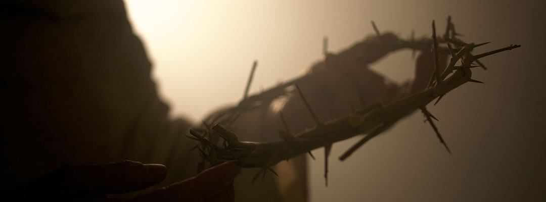 Domingo de Ramos | Pasión del Señor