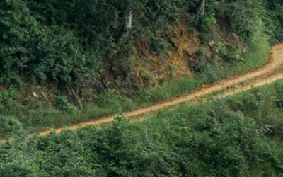 Pascua 5 – A | Camino, verdad y vida