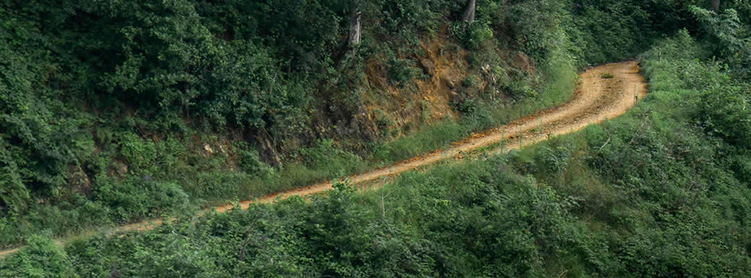 Pascua 5 – A | Camino, verdad y vida