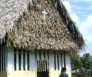 Domingo 29 – A | Misionero